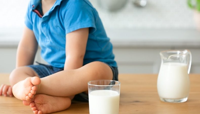 شیر گاو دادن به نوزاد