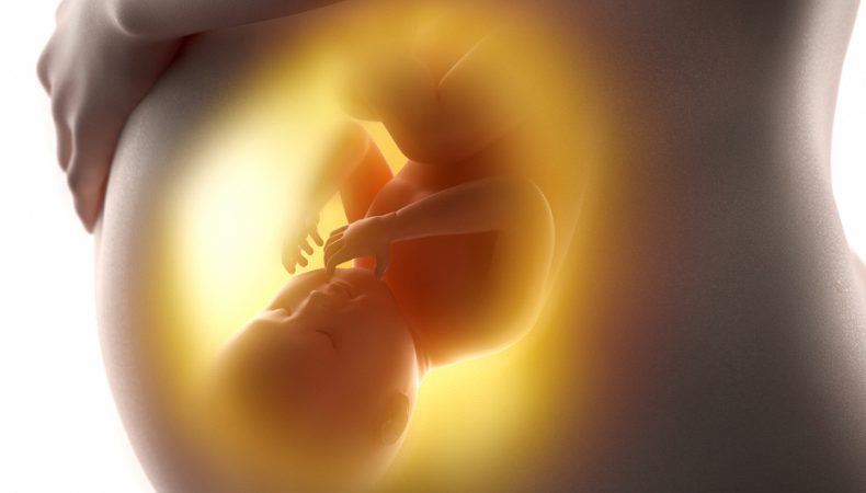 افزایش وزن جنین در دوران بارداری