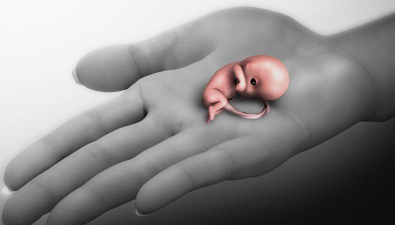 علل و علائم سقط جنین