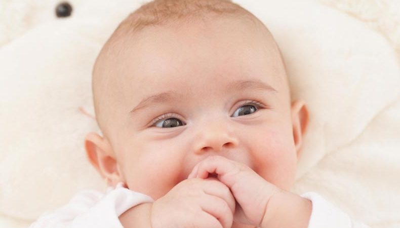 هفته پانزدهم نوزاد