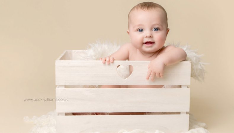 هفته سی و چهارم نوزاد