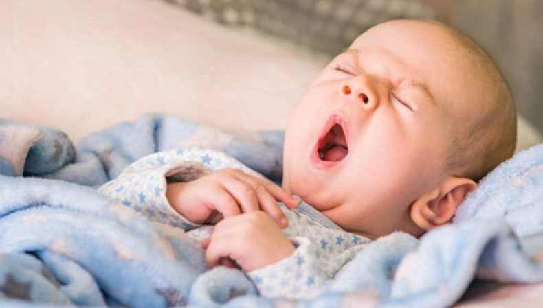 هفته پنجم نوزاد