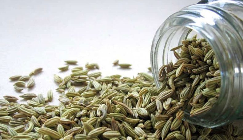 فواید و عوارض مصرف رازیانه در دوران بارداری