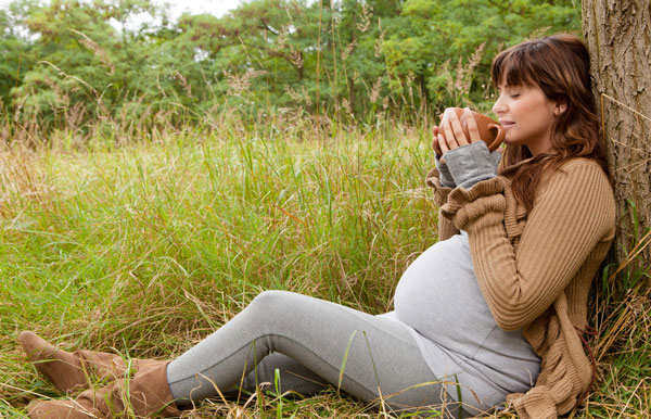 فواید و عوارض مصرف رازیانه در دوران بارداری