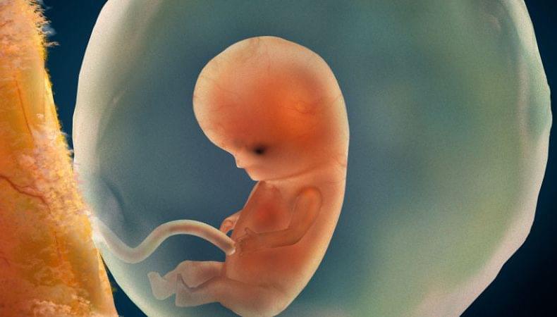 ساک حاملگی و معنای آن در دوران بارداری