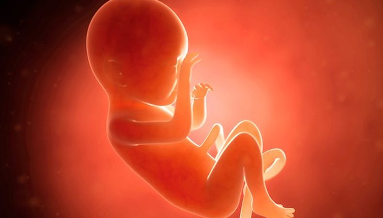 پس از سقط جنین چه اتفاقی می افتد؟