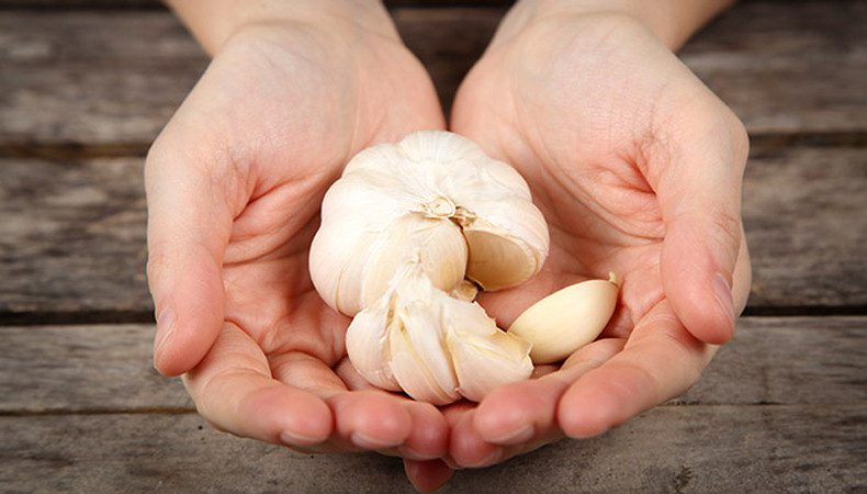 مصرف سیر در بارداری