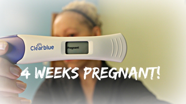 هفته چهارم بارداری