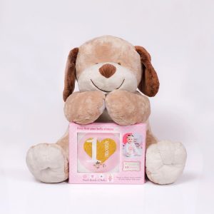 استیکر ماهگرد نوزاد دخترانه کد 014 بیبی تایم Baby time