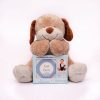 استیکر ماهگرد نوزاد پسرانه کد 007 بیبی تایم Baby time