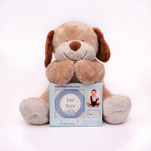 استیکر ماهگرد نوزاد پسرانه کد 007 بیبی تایم Baby time