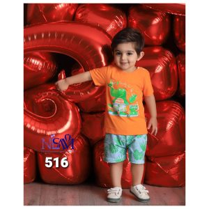 ست تیشرت شلوارک بچه گانه پسرانه طرح تمساح نیلسام Nilsam