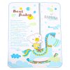 زیرانداز تعویض نوزاد طرح دار بست بیبی Best Baby