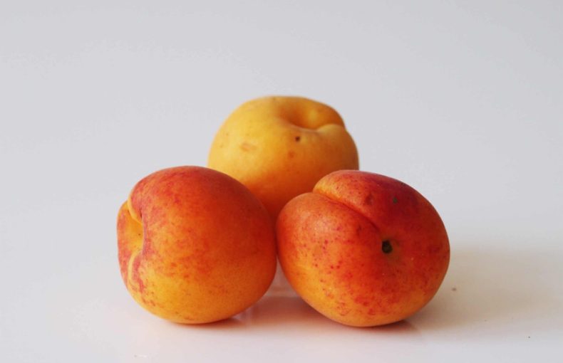 خوردن زردآلو برای نوزاد