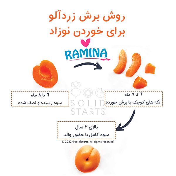 خوردن زردآلو برای نوزاد
