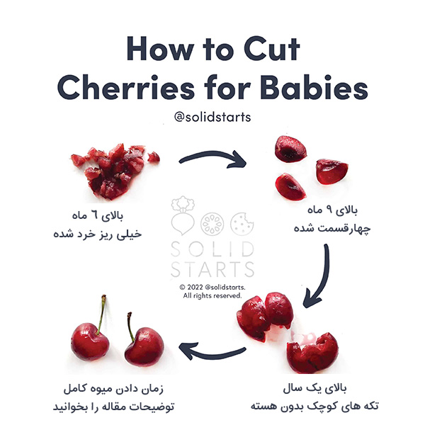 روش دادن گیلاس آلبالو به نوزاد
