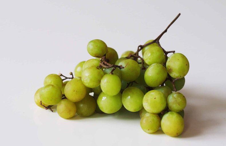 خوردن انگور برای نوزاد