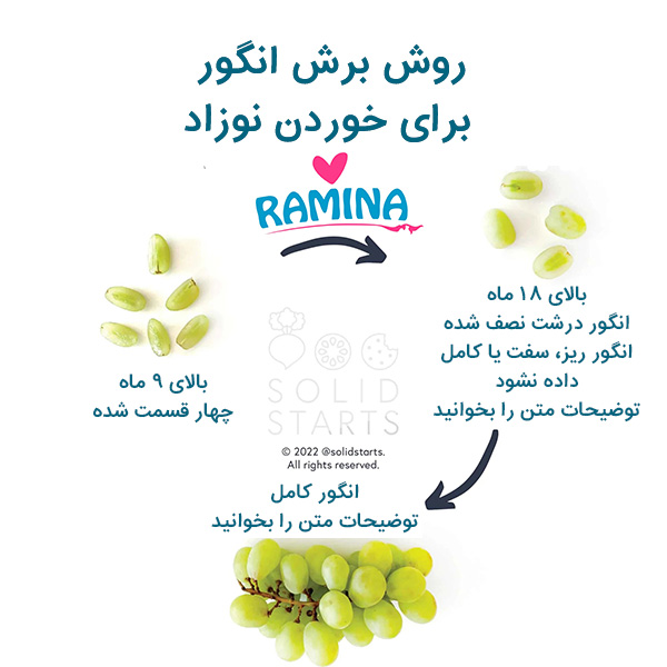 روش خوردن انگور برای نوزاد