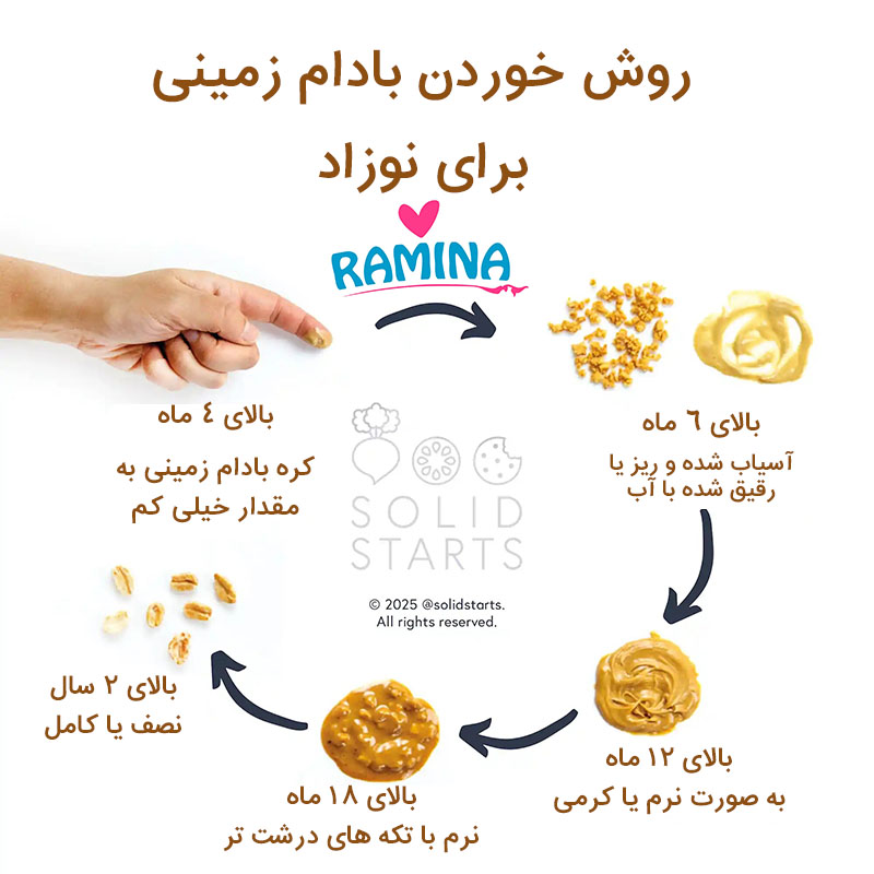 خوردن بادام زمینی برای نوزاد