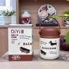فلاسک غذای کودک 500 میل طرح سگ Diyi