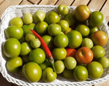 خوردن گوجه سبز در بارداری