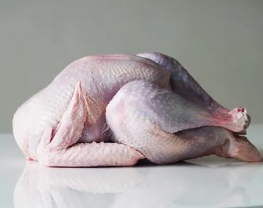 خوردن گوشت بوقلمون برای نوزاد