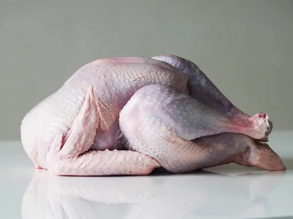 خوردن گوشت بوقلمون برای نوزاد
