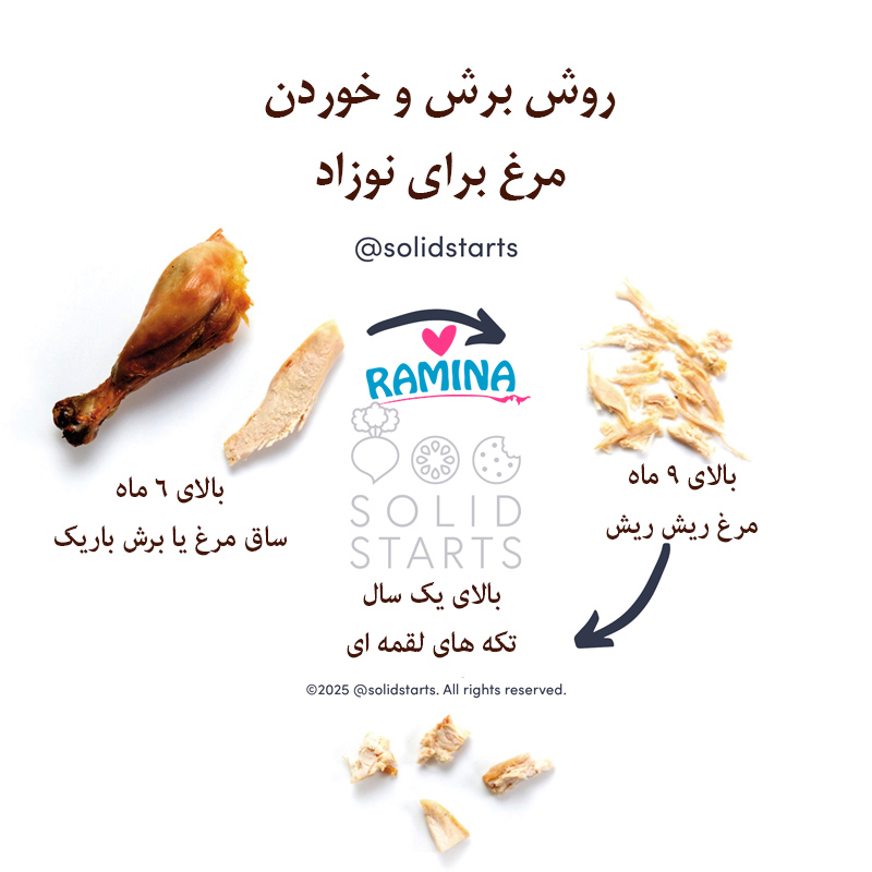 خوردن مرغ برای نوزاد