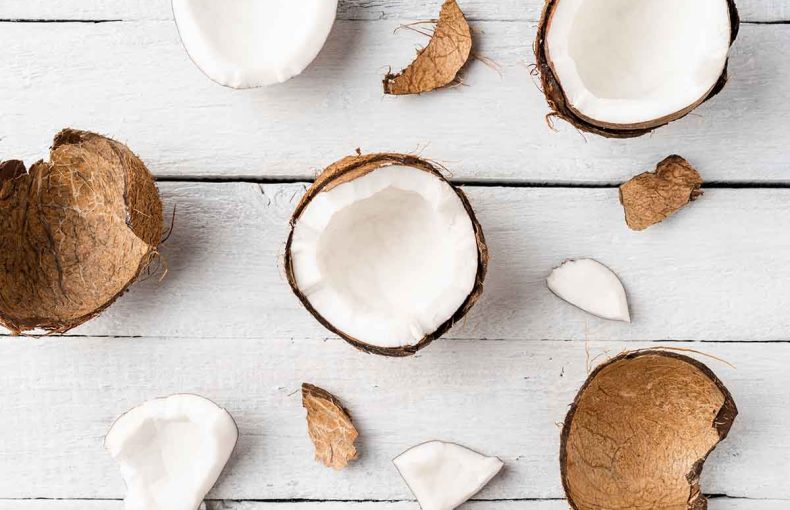 خوردن نارگیل برای نوزاد