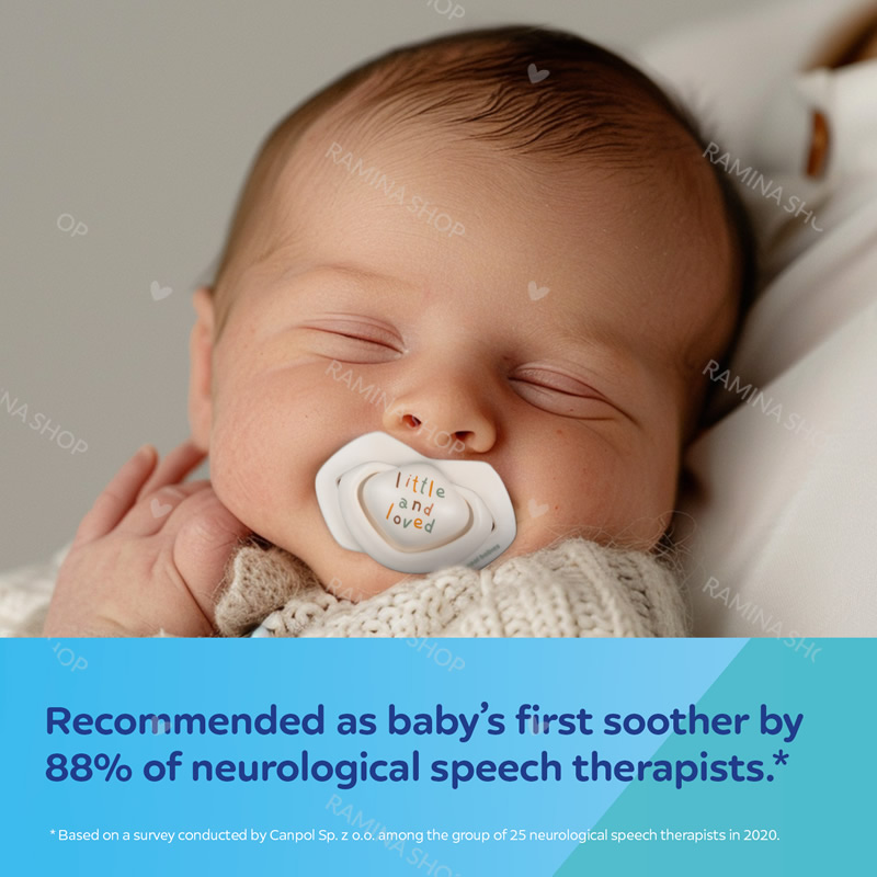 پستانک نوزادی دو عددی طرح غاز کانپول Canpol