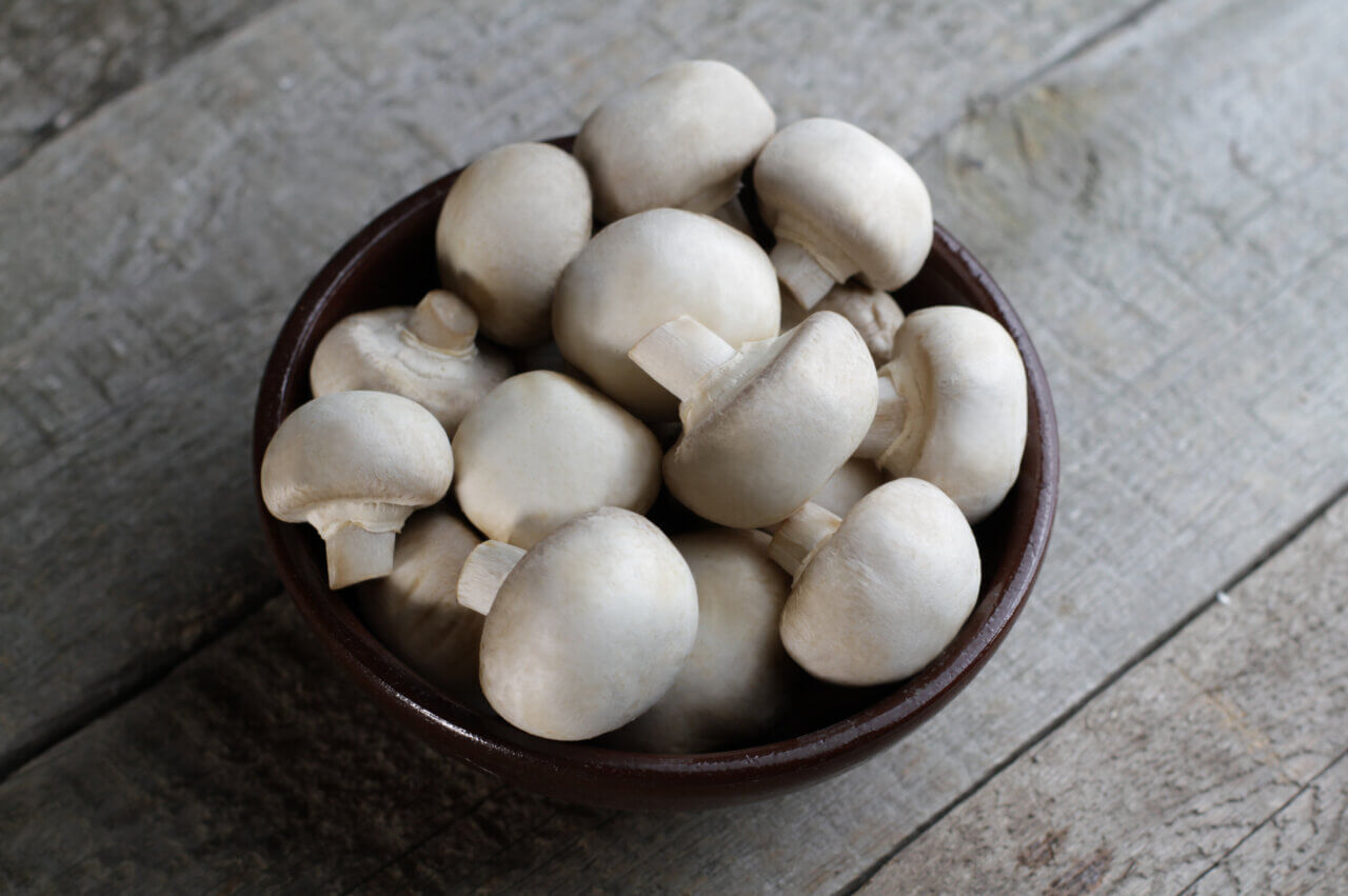 خوردن قارچ برای نوزاد