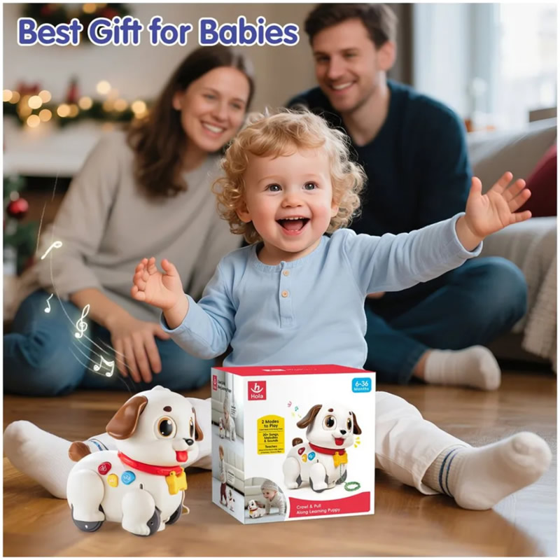 اسباب بازی سگ موزیکال حرکتی هالی تویز Huile Toys